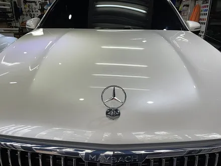 전체PPF 벤츠GLS 600 마이바흐 / 서울 서대문구
