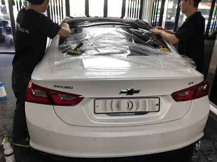 올뉴말리부 루프스킨 자가복원 노블림 하이그로시 / 서울 서대문
