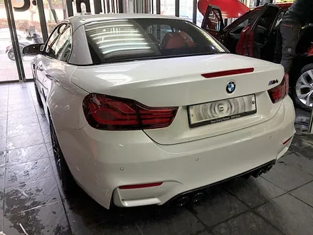 BMW M4 컨버터블 신차썬팅 생활보호PPF B형 / 서울 서대문