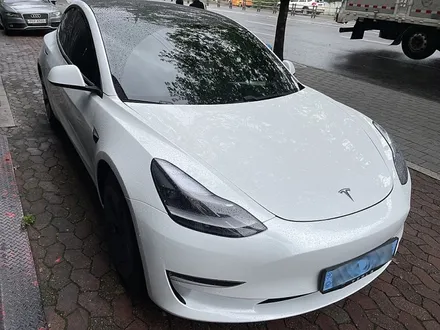 서울 테슬라 랩핑 3M G350 글로스 아토믹틸 / 서울 서대문