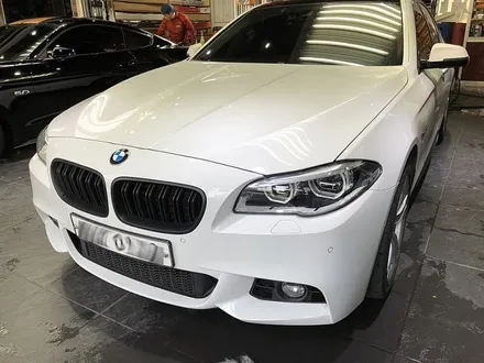 BMW530i 라이트PPF 피해차 보험처리 / 서울 서대문