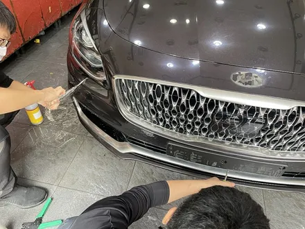 자동차보호필름 기아 K9 앞범퍼PPF / 서울 서대문