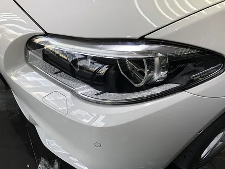 BMW530i 라이트PPF 피해차 보험처리 / 서울 서대문