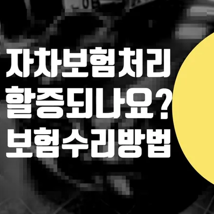 자차 보험처리 = 자동차 보험수리 할증 될까요? / 서울 서대문