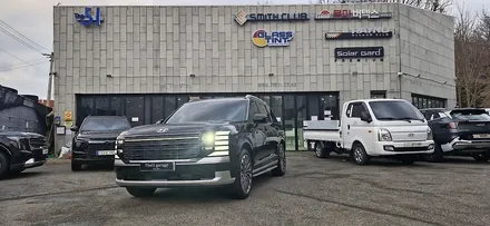 더 올뉴 팰리세이드 레이노 S9 / 고양 덕양구 동산동