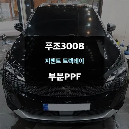 푸조3008 본넷 및 도어 그리고 생활보호패키지 부분PPF / 수원,광교,동탄