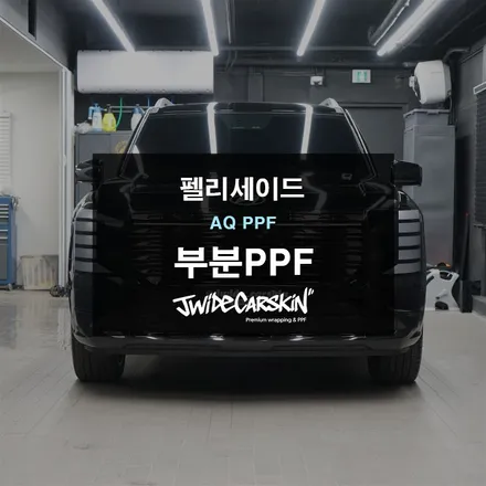 펠리세이드 본닛 ABC필러 헤드라이트 부분PPF / 경기 수원