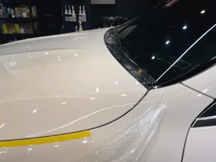 벤츠 E250 아방가르드 본네트PPF 시공으로 돌빵방지하기