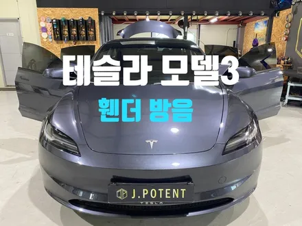 테슬라 모델3 휀더에서 올라오는 잡소리 신경 쓰이시지 않나요? / 남양주, 구리, 하남