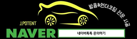 테슬라 모델Y 전기차 방음 시공 내용 한번 살펴보세요 / 남양주, 구리, 하남