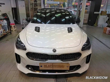 [블랙위도우][구미루프스킨][구미랩핑][구미전체랩핑][구미부분랩핑]★기아 스팅어 루프스킨 및 필러랩핑 시공입니다~★ / 구미시 봉곡동