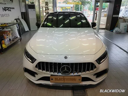 벤츠CLS450 C257 부분랩핑 / 구미랩핑 / 구미블랙위도우 / 구미시 봉곡동