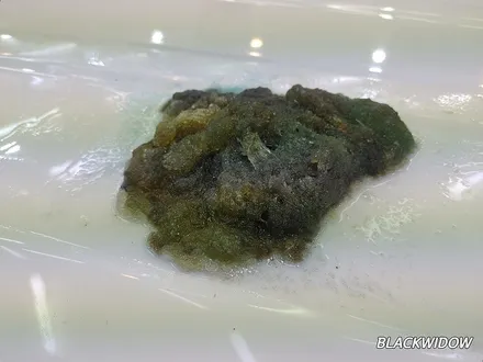 스포티지 루프스킨제거 / 구미랩핑 / 구미루프스킨 / 구미블랙위도우 / 구미시 봉곡동