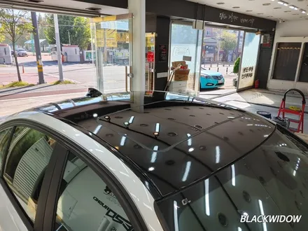 BMW 320D F30 루프스킨 / 구미블랙위도우 / 구미랩핑 / 구미루프스킨 / 구미시 봉곡동