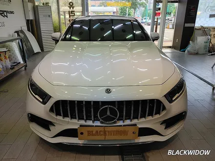 벤츠CLS450 C257 부분랩핑 / 구미랩핑 / 구미블랙위도우 / 구미시 봉곡동