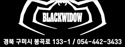 셀토스 루프스킨 / 구미블랙위도우 / 구미랩핑 / 구미루프스킨 / 구미시 봉곡동
