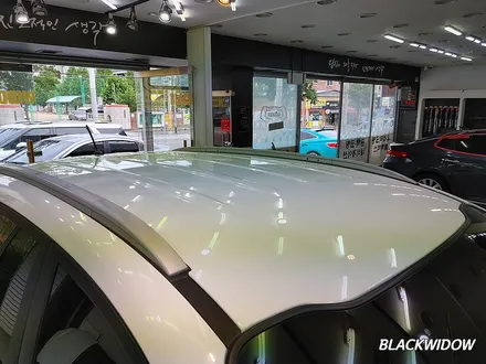 스포티지 루프스킨제거 / 구미랩핑 / 구미루프스킨 / 구미블랙위도우 / 구미시 봉곡동