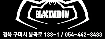 현대 스타렉스 광고랩핑 / 구미광고랩핑 / 구미랩핑 / 구미블랙위도우 / 구미시 봉곡동