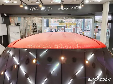 쏘울 루프스킨제거 / 구미블랙위도우 / 구미루프스킨 / 구미랩핑 / 구미시 봉곡동