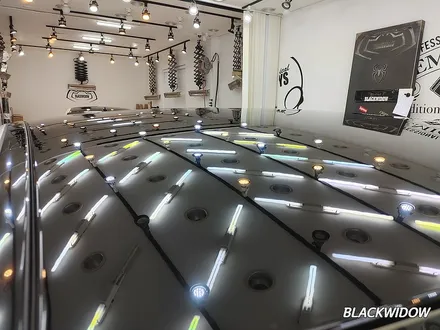 벤츠CLS450 C257 부분랩핑 / 구미랩핑 / 구미블랙위도우 / 구미시 봉곡동