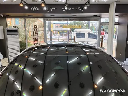 스팅어 루프스킨 / 구미블랙위도우 / 구미루프스킨 / 구미랩핑 / 구미시 봉곡동