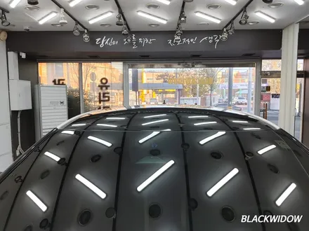 EV6 루프스킨 / 구미블랙위도우 / 구미루프스킨 / 구미랩핑 / 구미시 봉곡동