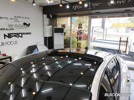 스팅어 루프스킨 / 구미블랙위도우 / 구미루프스킨 / 구미랩핑 / 구미시 봉곡동