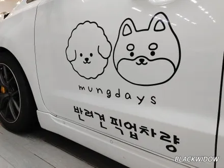 올뉴카니발 광고랩핑 / 구미블랙위도우 / 구미광고랩핑 / 구미랩핑 / 구미시 봉곡동