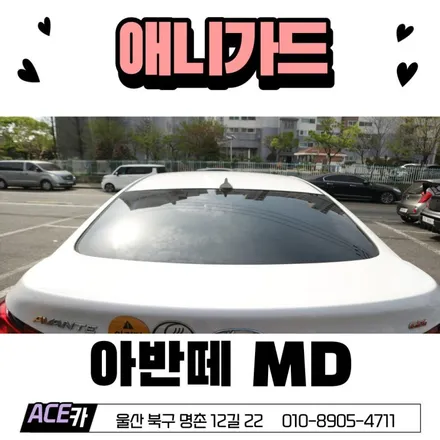 울산 후면썬팅 애니가드 AP50시공후기 / 울산 북구