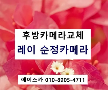 울산후방카메라 레이 순정후방카메라 사제로교체하기 에이스카 / 울산 북구