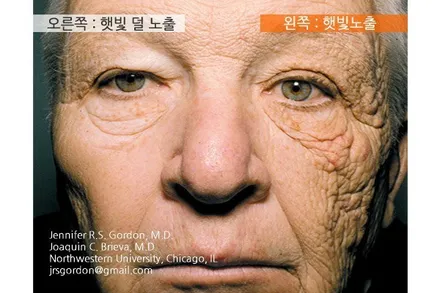 울산썬팅 가성비최고 / 울산 북구
