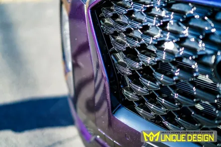 팰리세이드 캘리그래피 카멜레온 전체 랩핑, 의정부 랩핑, 카스킨, 유니크디자인 / 의정부 신곡동