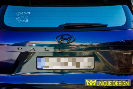 팰리세이드 캘리그래피 카멜레온 전체 랩핑, 의정부 랩핑, 카스킨, 유니크디자인 / 의정부 신곡동