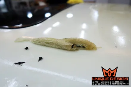 (의정부) 말리부 루프스킨 제거 및 재시공, 의정부 카스킨, 유니크디자인 / 의정부 신곡동