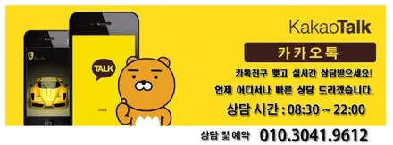 올 뉴 카니발 카나로 안드로이드 올인원 설치 인천 카오디오 장착점 방문