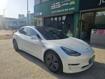 테슬라 모델3 재시공 가능합니다 멀리서 찾지마세요 광주카페인W에서 시공해드립니다 / 광주 동구 산수동
