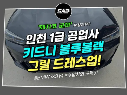 BMW iX3 키드니그릴 블루블랙 튜닝 <돼지코 교체> 괜찮을까? / 김포 양촌읍