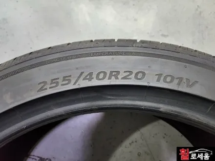 대전 휠로세움 테슬라 모델Y 20인치 고스트크롬 휠도색 + 레드 캘리퍼도색 / 대전 중구 안영동