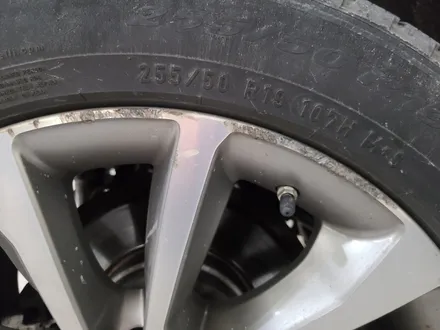 광주 BMW F16 X6 19인치 순정휠 휠복원 및 유광블랙 휠도색 - 대전 휠로세움 / 대전 중구 안영동