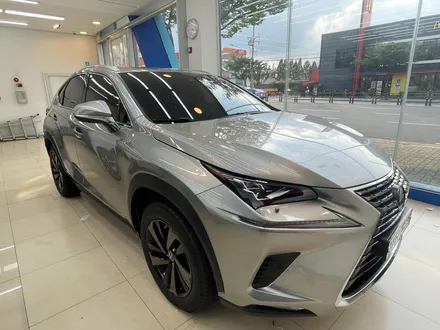 렉서스신차패키지,루마버텍스,버텍스,LX5000,PPF,유리막