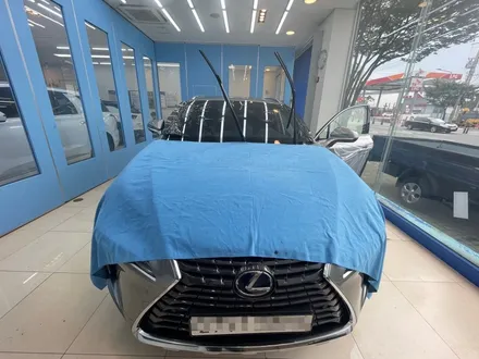 렉서스신차패키지,루마버텍스,버텍스,LX5000,PPF,유리막