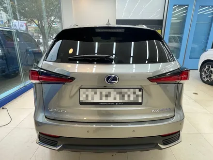 렉서스신차패키지,루마버텍스,버텍스,LX5000,PPF,유리막