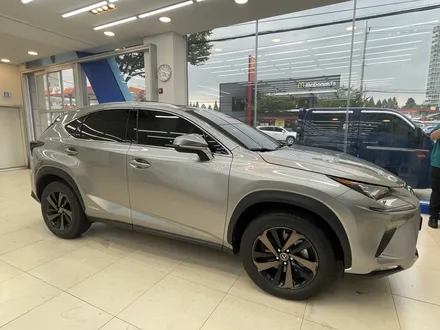 렉서스신차패키지,루마버텍스,버텍스,LX5000,PPF,유리막