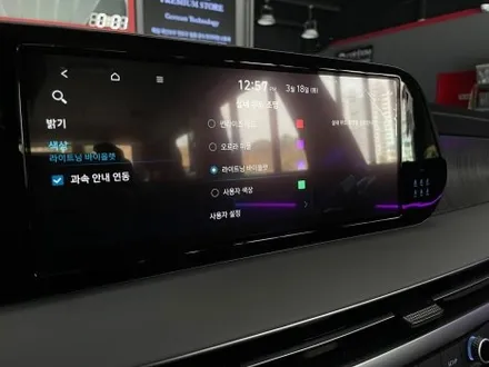 진주 엠비언트 더뉴팰리세이드 에이비클 엠비언트 v4 도어스팟 램프 추가장착으로 더욱더 고급스럽게 / 진주, 창원