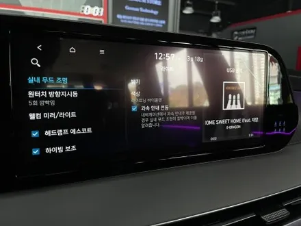 진주 엠비언트 더뉴팰리세이드 에이비클 엠비언트 v4 도어스팟 램프 추가장착으로 더욱더 고급스럽게 / 진주, 창원