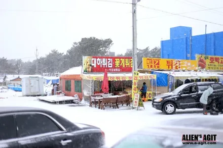 재규어 XE 20t 와 함께한 안면도 눈길 드라이빙!          진정한(원치 않았던) 눈길 시승기 / 성남시 분당구 운중동