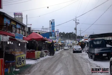 재규어 XE 20t 와 함께한 안면도 눈길 드라이빙!          진정한(원치 않았던) 눈길 시승기 / 성남시 분당구 운중동