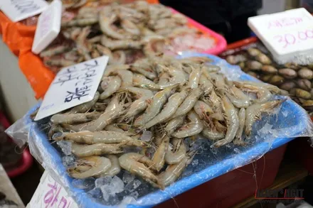 재규어 XE 20t 와 함께한 안면도 눈길 드라이빙!          진정한(원치 않았던) 눈길 시승기 / 성남시 분당구 운중동