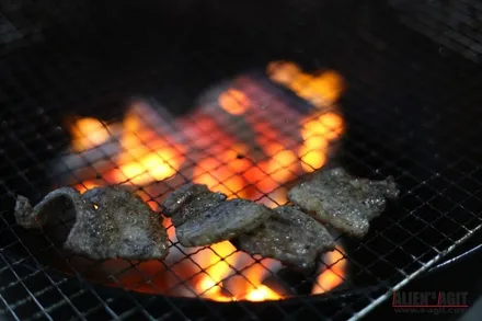 재규어 XE 20t 와 함께한 안면도 눈길 드라이빙!          진정한(원치 않았던) 눈길 시승기 / 성남시 분당구 운중동