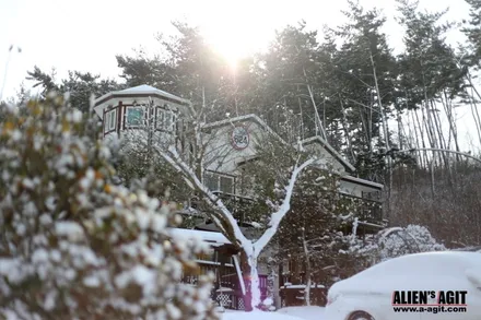 재규어 XE 20t 와 함께한 안면도 눈길 드라이빙!          진정한(원치 않았던) 눈길 시승기 / 성남시 분당구 운중동